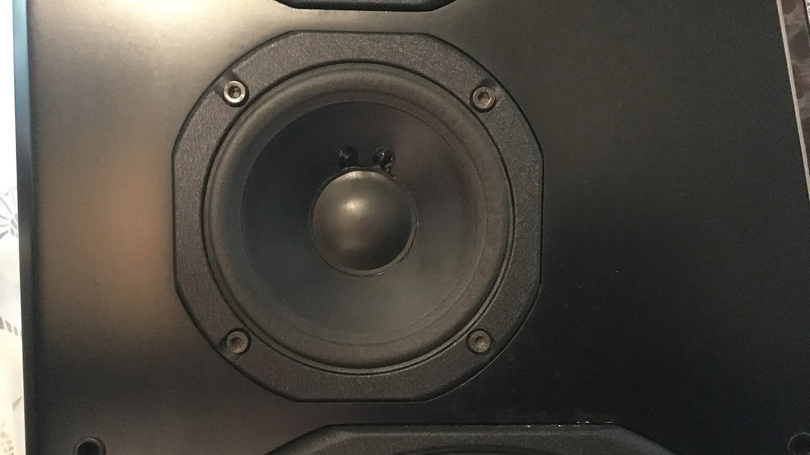 Dome tweeter and woofer drivers on a black speaker enclosure